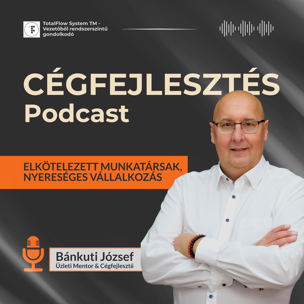 Artwork for Cégfejlesztés Podcast
