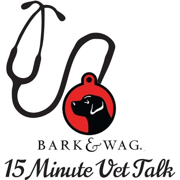 Artwork for Bark n Wag 15 Minute Vet Talk