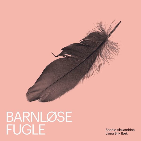 Artwork for Barnløse Fugle