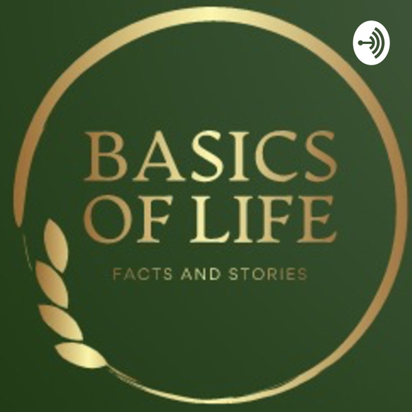 Artwork for Basics of Life