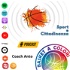Basket a Colori - Sport e Cittadinanza