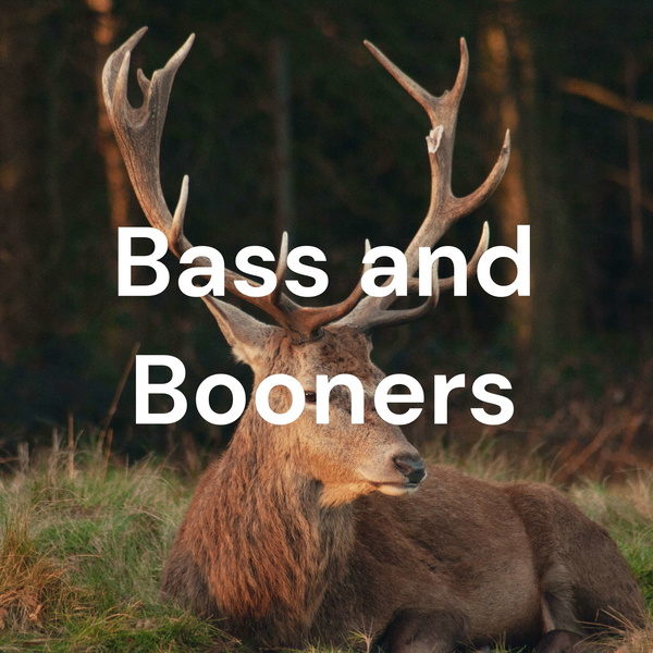 Artwork for Bass and Booners