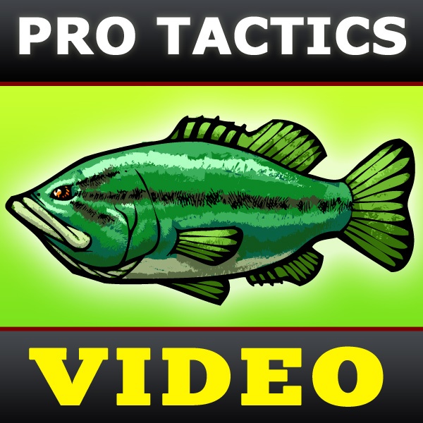 Artwork for Bass Fishing Tactics Videos [BassFishin.Com]