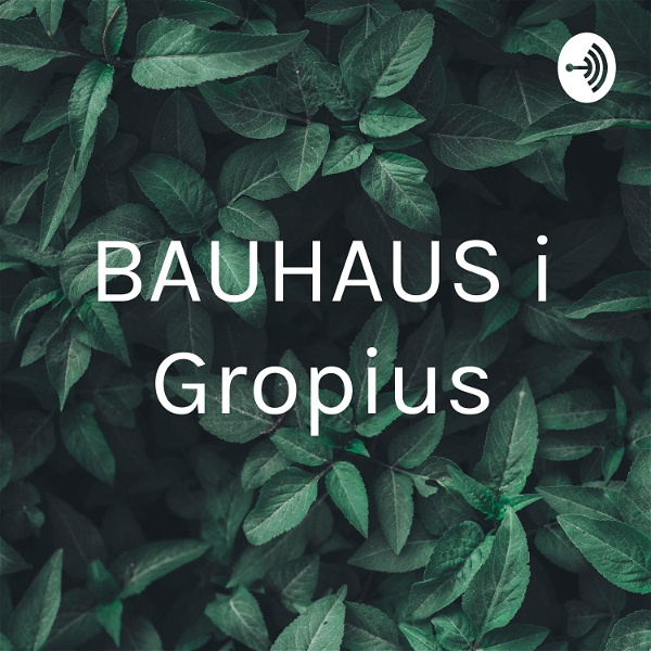 Artwork for BAUHAUS i Gropius