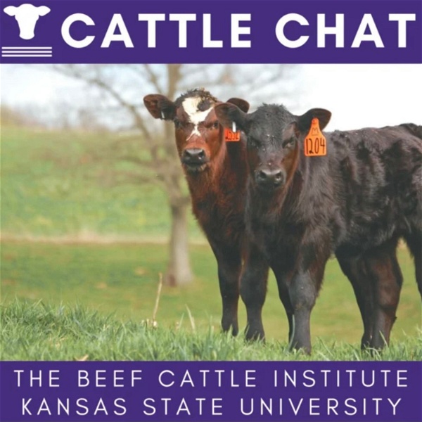Artwork for Cattle Chat