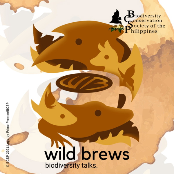 Artwork for BCSP Wild Brews