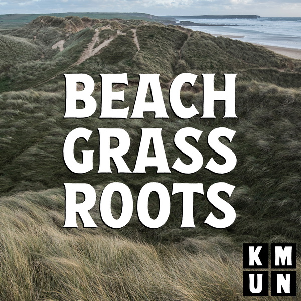 Artwork for Beach Grass Roots