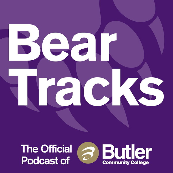 Artwork for Bear Tracks