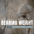 Bearing Weight