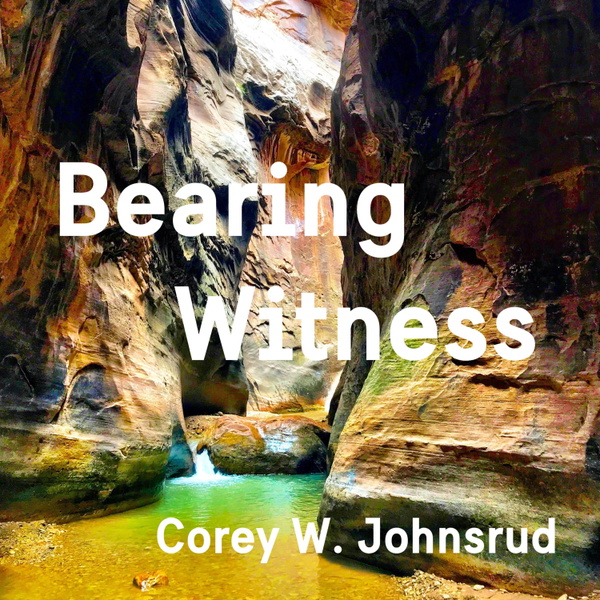 Artwork for Bearing Witness