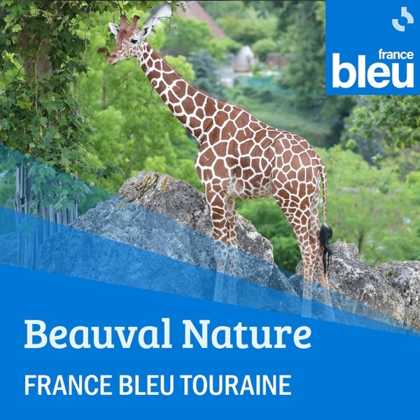 Artwork for Beauval Nature