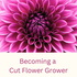 Becoming a Cut Flower Grower