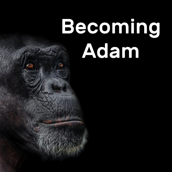 Artwork for Becoming Adam Podcast – Becoming Adam, Becoming Christ