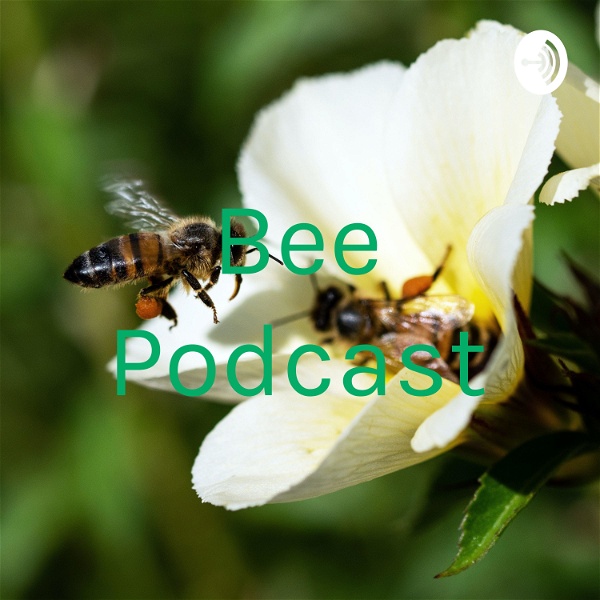 Artwork for Bee Podcast