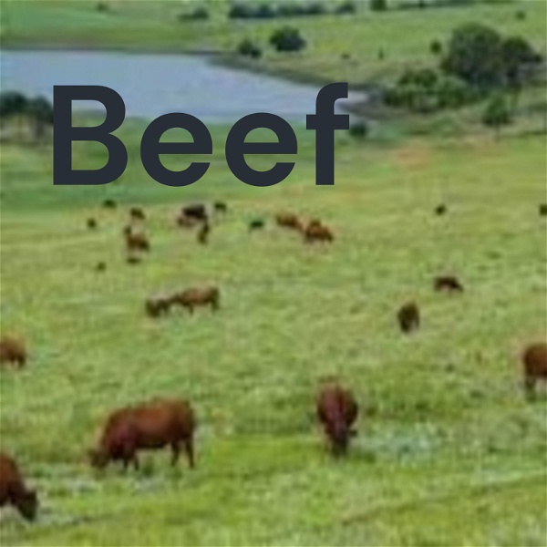 Artwork for Beef
