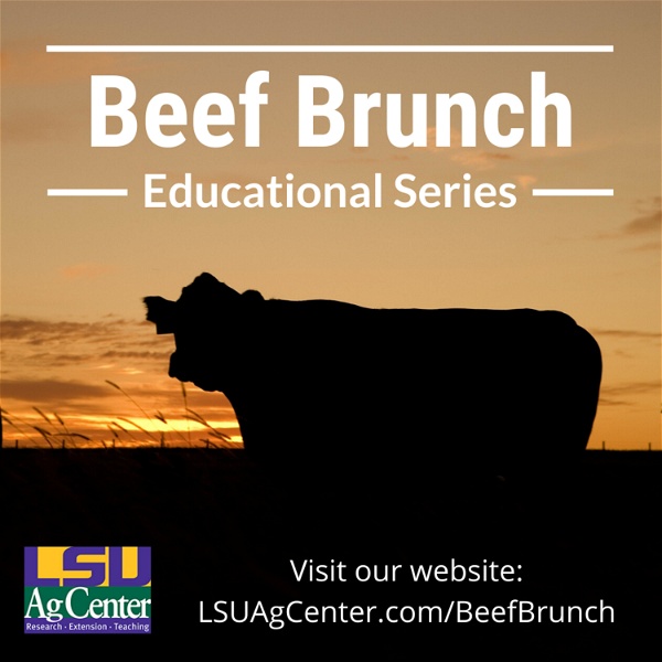 Artwork for Beef Brunch Educational Series