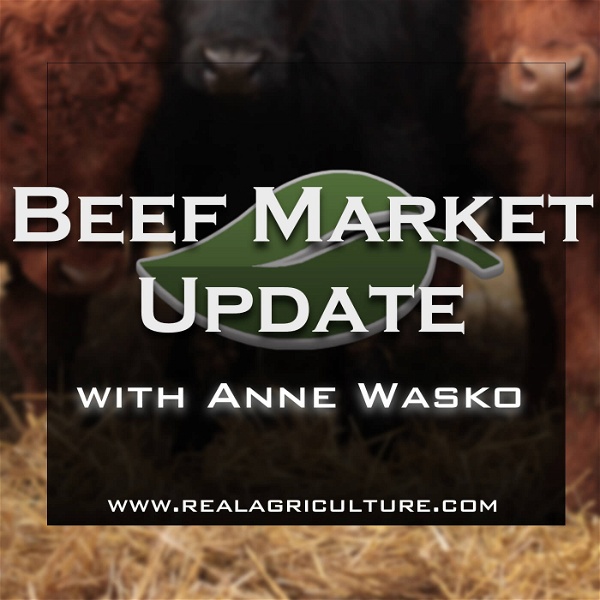 Artwork for Beef Market Update