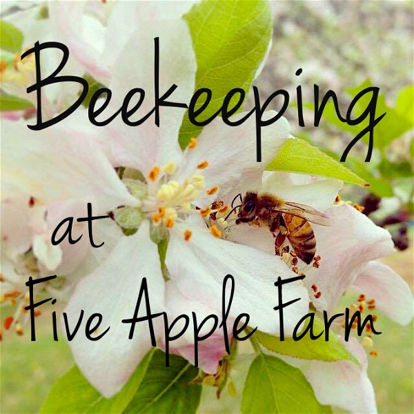 Artwork for Beekeeping at Five Apple Farm Podcast