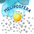 Meliposfera - O Fantástico Mundo das Abelhas Nativas Sem ferrão