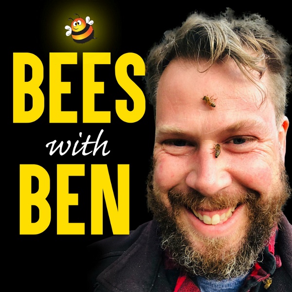 Artwork for Bees With Ben