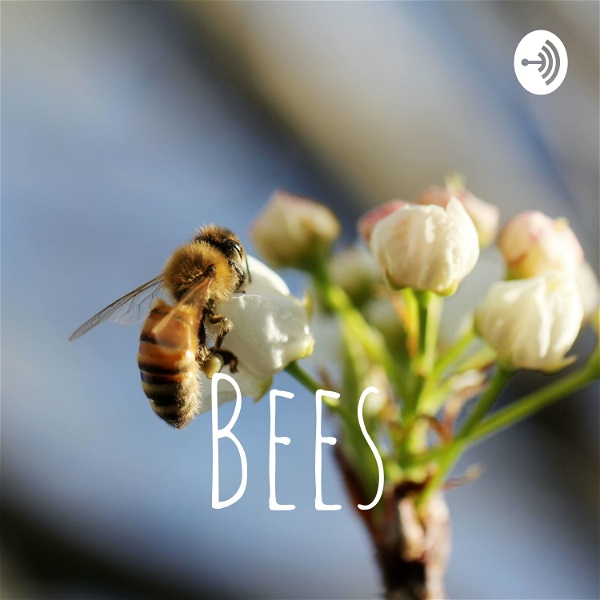 Artwork for Bees