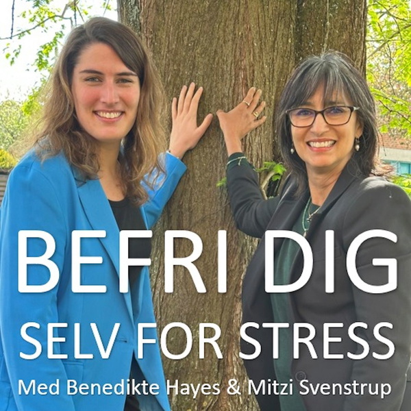 Artwork for Befri Dig Selv For Stress