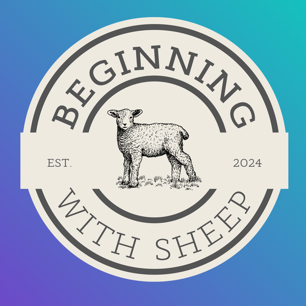 Artwork for Beginning with Sheep