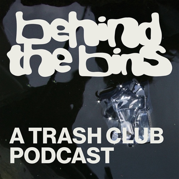 Artwork for Behind the Bins