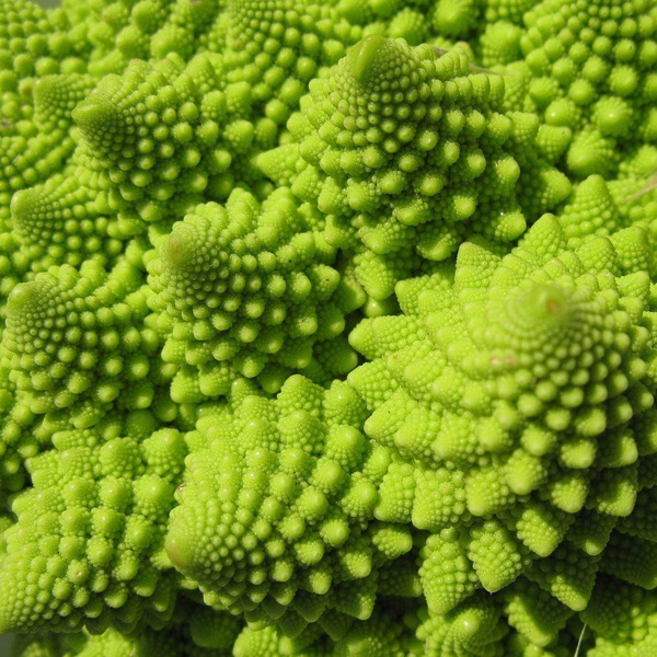 Artwork for Align in the Sound