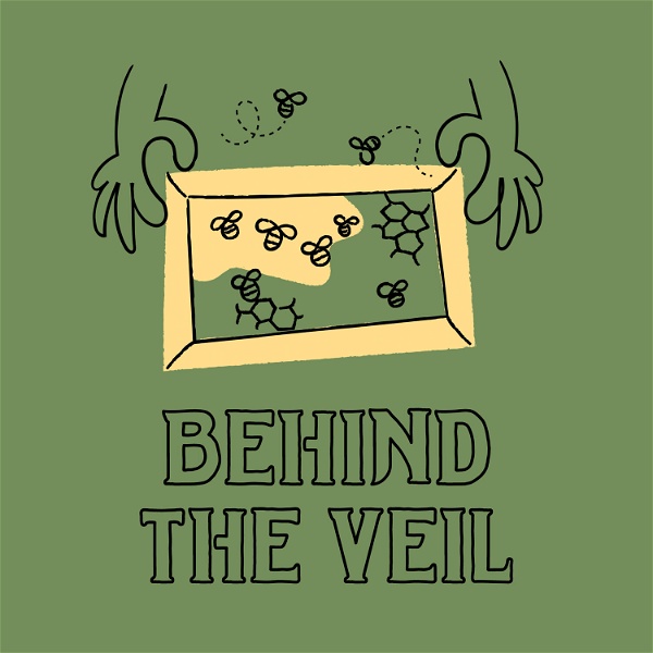 Artwork for Behind the Veil