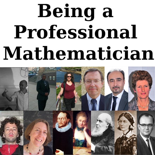 Artwork for Being a Professional Mathematician