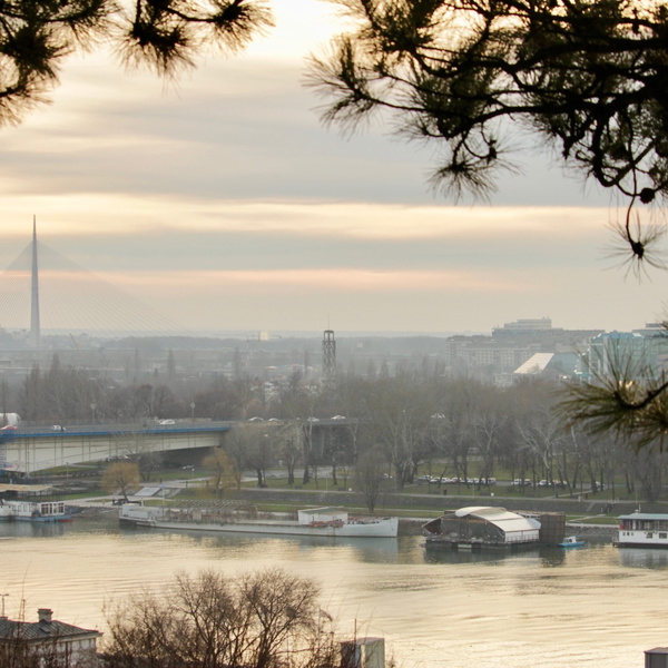 Artwork for Belgrade Life