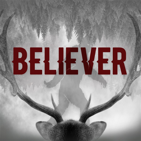 Artwork for Believer: A Paranormal Mystery