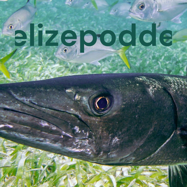 Artwork for Belizepodden