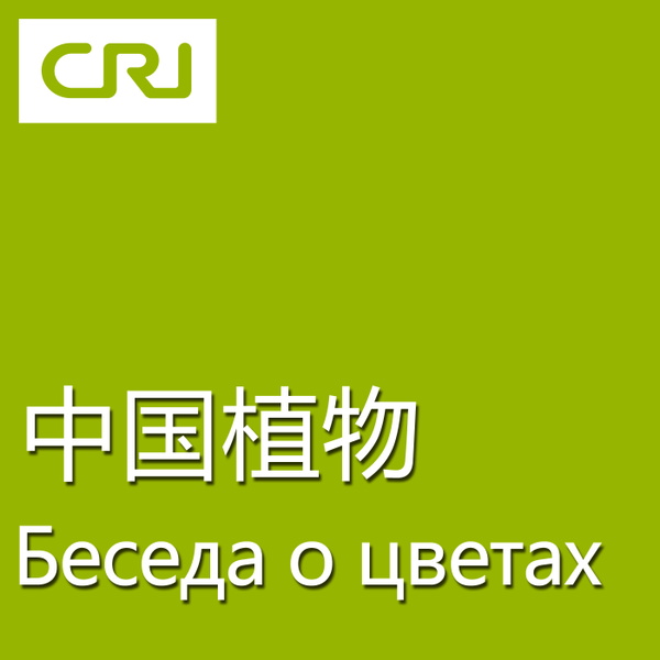 Artwork for Беседа о цветах