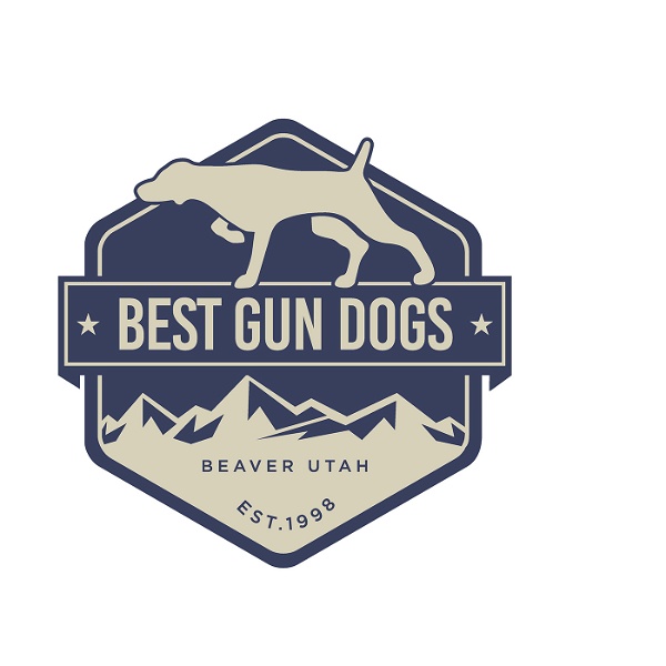 Artwork for Best Gun Dogs podcast