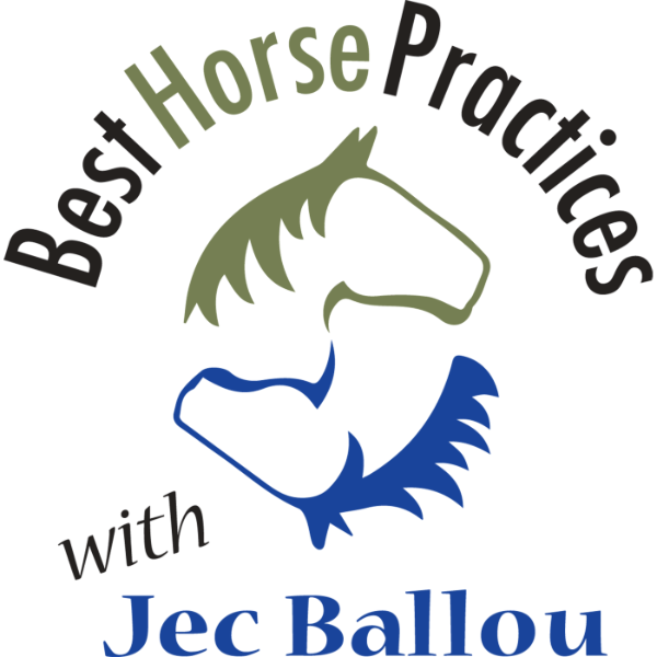 Artwork for Best Horse Practices Podcast