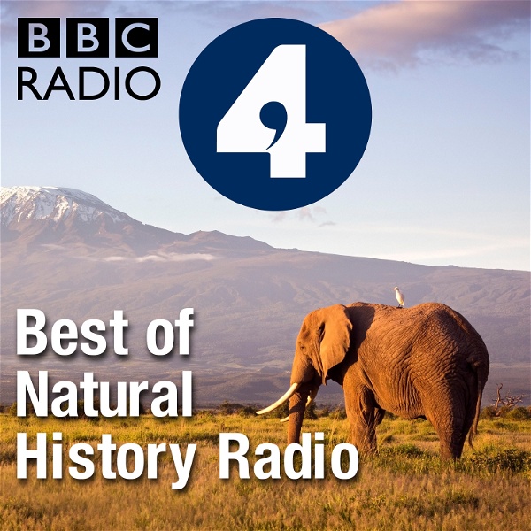 Artwork for Best of Natural History Radio