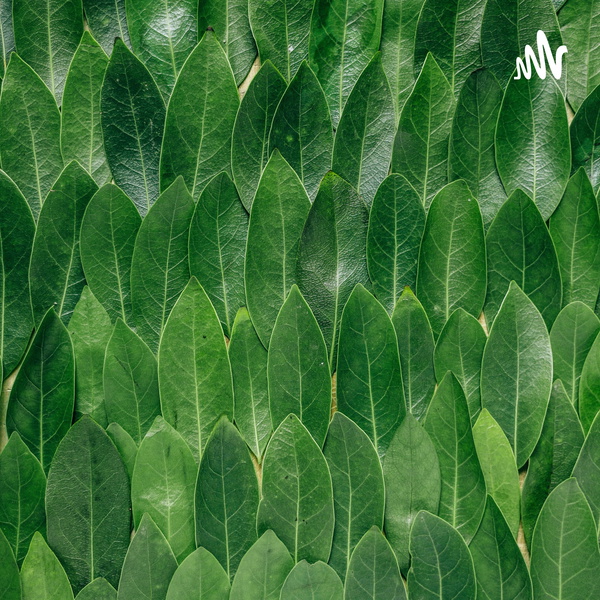 Artwork for Huge Pieces of Broccoli