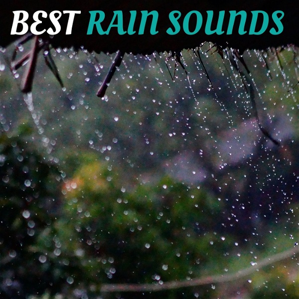 Artwork for Best Rain Sounds