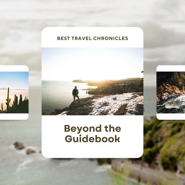 Artwork for Best Travel Chronicles