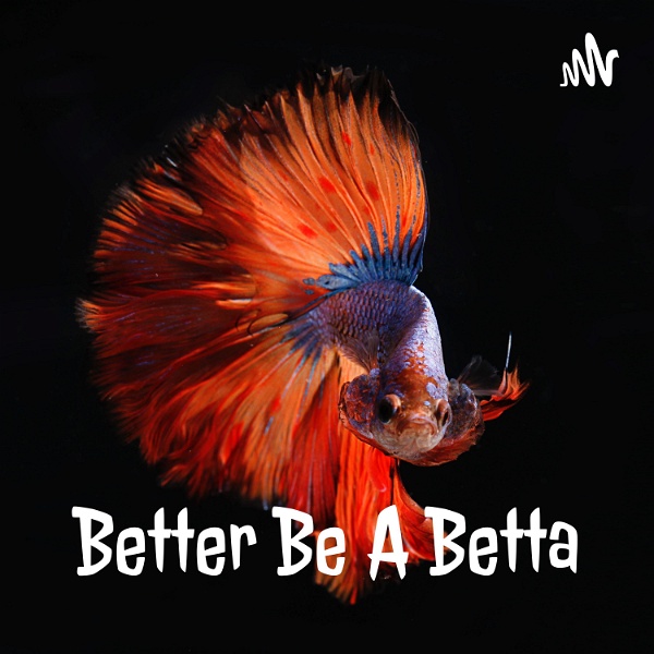 Artwork for Better Be A Betta