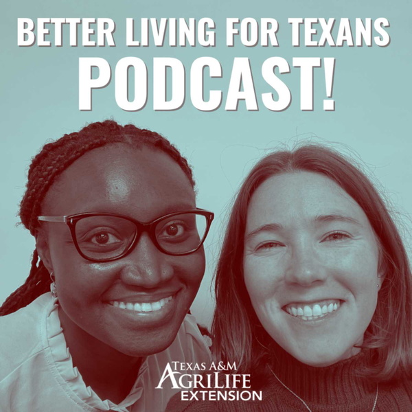 Artwork for Better Living for Texans
