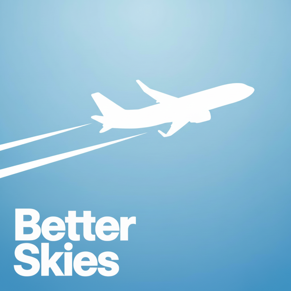 Artwork for Better Skies: Lessons from the Flight Deck