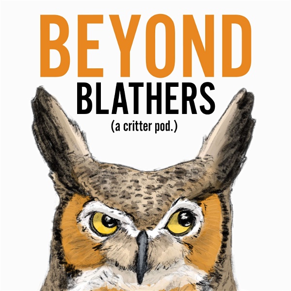 Artwork for Beyond Blathers