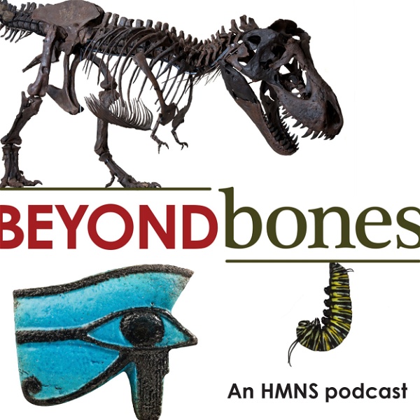 Artwork for Beyond Bones Podcast