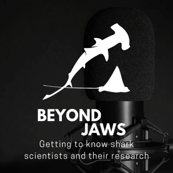 Artwork for Beyond Jaws: Exploring Shark Science and Conservation