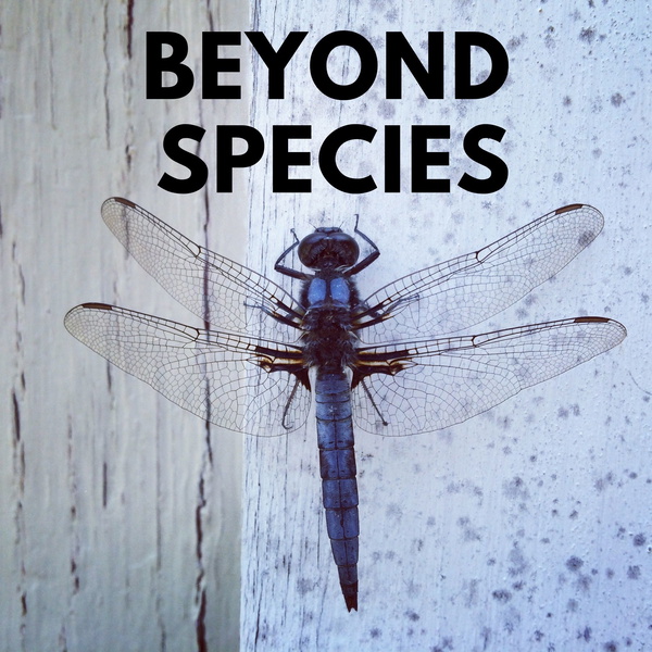 Artwork for Beyond Species