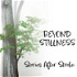 Beyond Stillness - Stories After Stroke