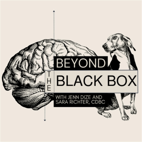 Artwork for Beyond the Black Box
